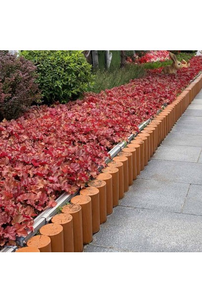 Гейхера гибридная Форевер Ред бордюрная посадка